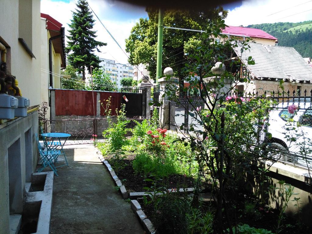 Apartament Nora Brasov Exterior photo